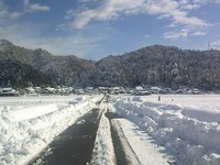 ������������︺�������������Ѥ��Ƥ��ޤ��� 