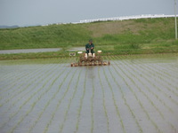 �����Ȥ��ͻ� 