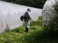 �ϥ��������� 