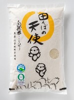 ̺ơԻѡ˼ƥҥĤܤŷȡ