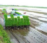 ��ǯ�⤬��Ф�ޤ����� 