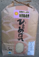 �ҤȤ�ܤ촰�� 