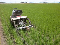 ���ڤ��� 