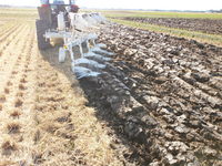 ���Τ������� 