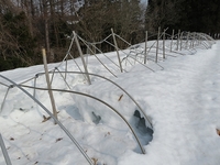 �ϥ�������ǧ�Ǥ���ۤɡ���Ͼ��ʤ��ʤ�ޤ����� 