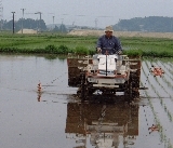 �Ŀ������ 