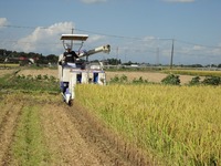 �𴢤�Ϥ�ޤ����� 