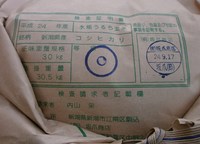 �����ҥ��ꡡ1�� 