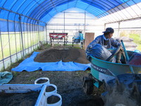 �֥롼�����Ȥ�ݤ����Ҹˤ����ں�ꡣ 