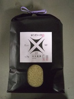 椦21ƿ̣ʬϴꥳ󥯡ƻܸ긢ͥ޼