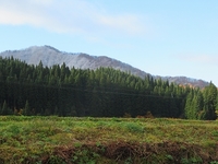 �������ä���ȡ� 