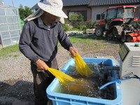 ���60��Τ���Ǿ��� 