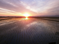 �Ŀ��������ޤ����� 