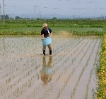 ���Ȥˤ��ܥ������� 