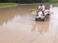 �Ŀ������˾�äƤ���ΤǤϴ������⤢�ꡢ�ͥå��������ޡ������ѡ� 