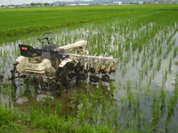 ���Ĥ���ޥ�Ǻ�Ȥ��Ƶ��Τǡ��̿��򻣤�Ȥ��ϡ�̵�ͤκ�ȵ��򻣱Ƥ��Ƥ��ޤ��� 