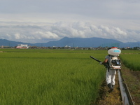 ������� 