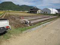 �ƺ�����ǰ��ֿɤ���ȡ� 