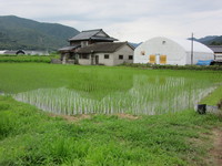 ��β��Ǥϥ����ܥ��˥����������Ƥ��ޤ��� 