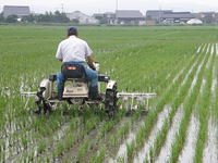 ���̤λ����ǡ������ܤ��餤�Ǥ�������μ̿��Ǥ��� 