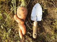 ���⤷�������οͻ� 