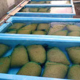 ����ˤĤ��ä����ߤ��� 