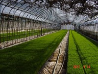 ���ĥϥ����Υ����ҥ��� 