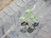 ��̣�����������򿩤٤뤾�� 