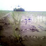 �������Фä�����֤�����Ģ� 