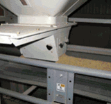 ���ޤŤ��Ƥ�ȯ�����Ƥ��ޤ��� 