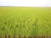 �Ŀ������󤫷� 