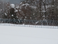 Ⱦʬ�������ޤäƤ��ޤ� 