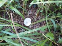 �̤����� 