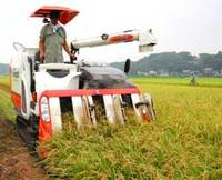 ���줫�飲����ե��ư�Υ���Х��� 