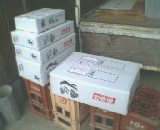 ��ȯ���ԤĤ��Ƥ��� 