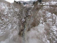 ���¶����ͻ� 