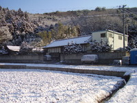 �������������ʿ� 