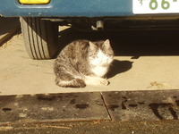 ī���������������ܤä� 