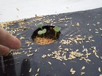 ���դ��Фޤ����� 