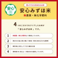 ͭ���ߤ����� 4�ĤΤ������