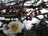 �ߤ����� 