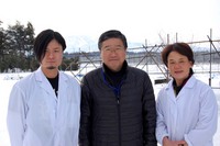 �ں�������⻳���С���ɽ���⻳���ס��⻳��� 