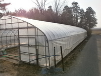 �ϥ����Υӥˡ���ĥ�� 