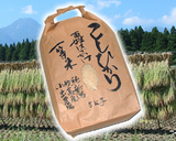 ɴ���Ϥ����������� 