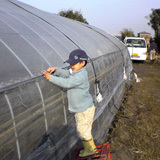 �����ˤ���Ф�©�� 