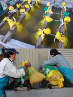 �����Ҿ��� 