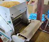 �żﵡ�Ǽ��ߤ�ޤ��ޤ� 