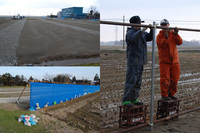 �����ͥåȤ�ĥ�� 