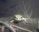 ������⸫��äƤ���Ƥޤ��������������� 