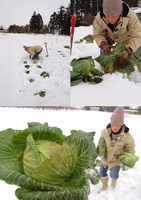 ��β��Υ���٥� 